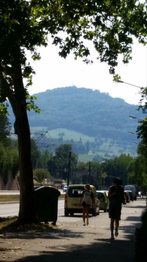 City Appartement 5 Freiburg im Breisgau Dış mekan fotoğraf